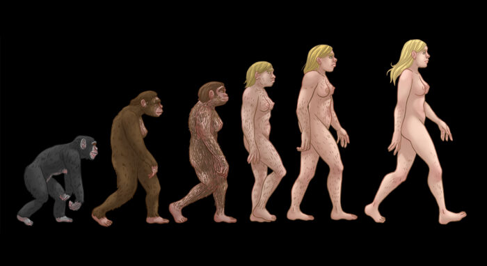 Civilization Timeline