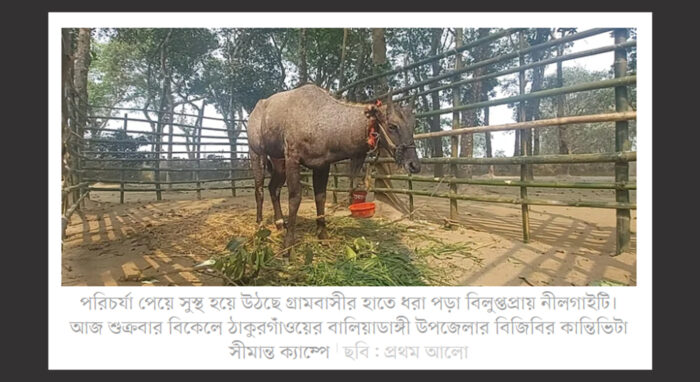 Save the Endangered Animals