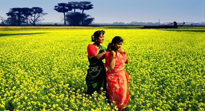 Rural and Urban People