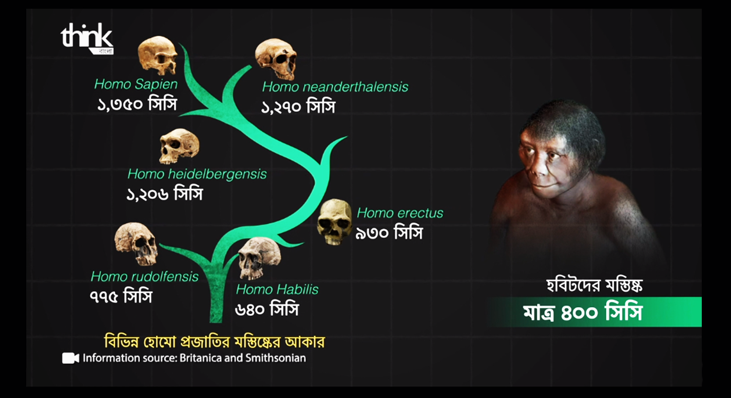 Hominins Family