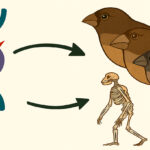 Evolution through mutation: Nature’s perfect strategy